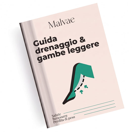 Malvae — hf_20260518_184022_1f67752a-ad52-4cf6-9ddc-1a0680b2d48c